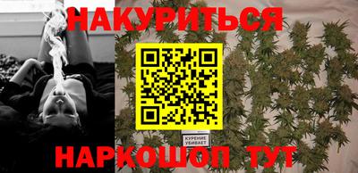 сатива Краснознаменск