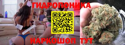 сатива Краснознаменск