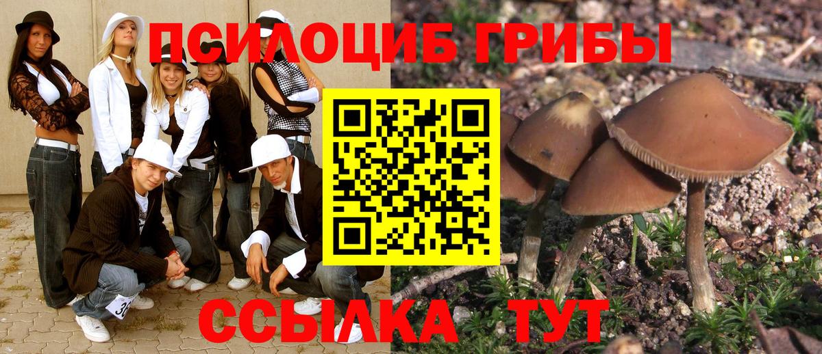 Псилоцибиновые грибы Psilocybine cubensis  Вход с VPN  Псилоцибиновые грибы Magic Shrooms  Электрогорск 